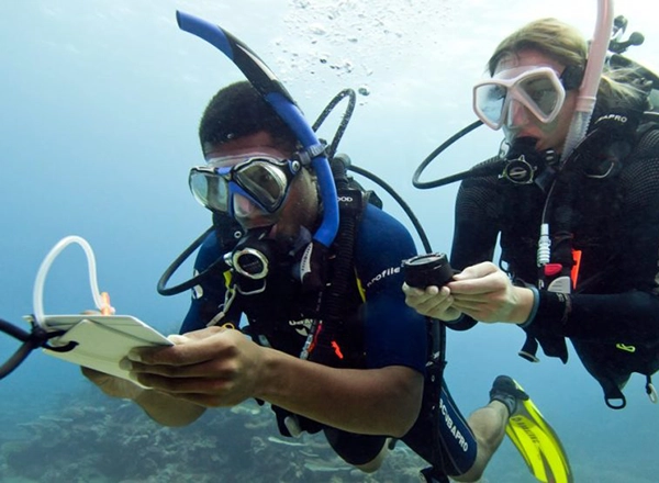 Advanced diver exploring deep reef wall during Advanced Open Water course