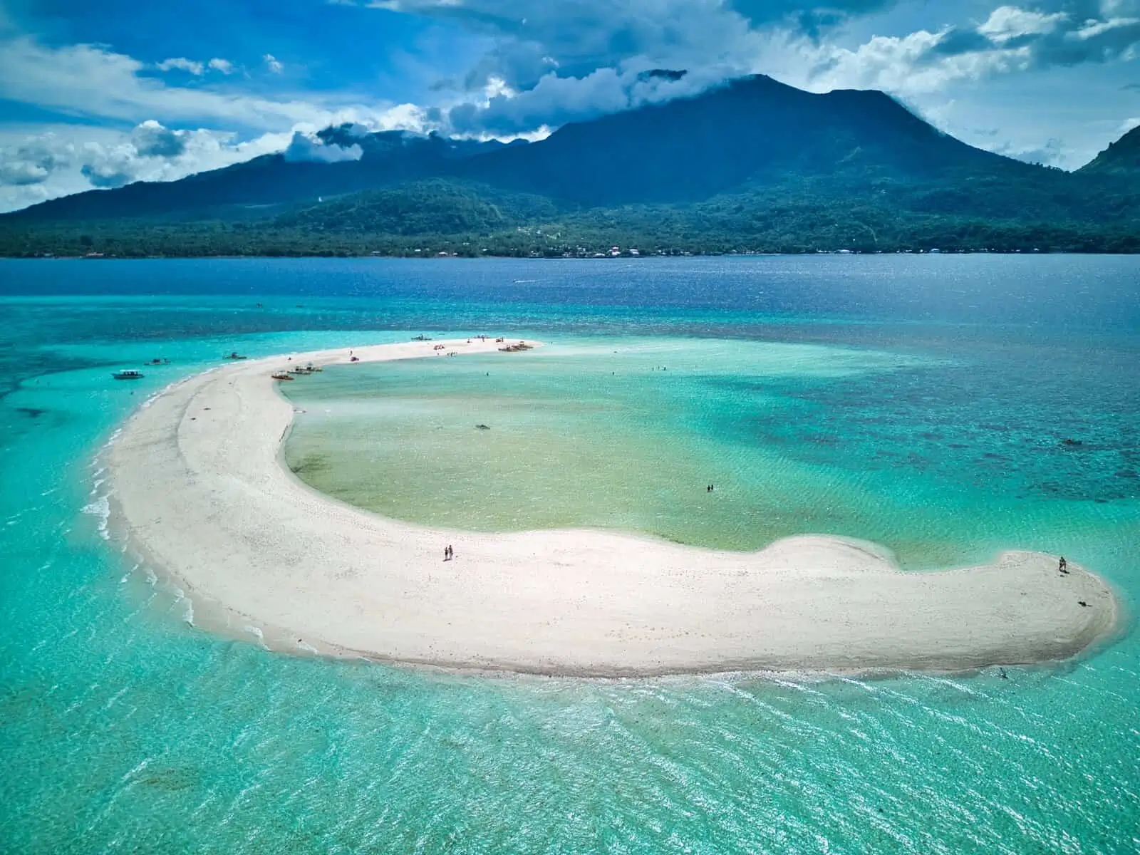 Black coral garden and staghorn coral at White Island Camiguin